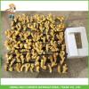 150g Fresh Mature China Fresh Ginger Exporter Market Prices #1 small image