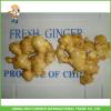 High Quality 150g Fresh Ginger In 6kg Pvc Carton For Dubai #1 small image