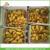 150g Fresh Ginger From Organic Ginger Supplier #1 small image