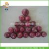 Lowest Price With Good Quality Fresh Red Onion #1 small image