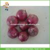 Chinese New Crop Fresh Red Onion #1 small image