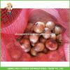 High Quality &amp; Best Price Chinese Fresh Onion 5-7cm Size #1 small image