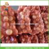 High Quality 7.0cm up Fresh Onion With Best Price #1 small image