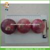 High Quality Fresh Onion 5-7cm Size #1 small image