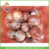 Import Fresh Yellow Onions #1 small image