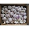 2017 New Crop 5cm Normal White Fresh Garlic 10kg Box Packing #4 small image