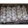 New Crop 4.5cm Normal White Fresh Garlic In 10 kg Box Packing #3 small image