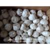 2017 New Crop 5cm Normal White Fresh Garlic 10kg Box Packing #3 small image