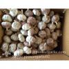 New Crop 5.5cm Normal White Fresh Garlic In 10 kg Box packing #4 small image
