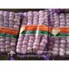 2017 New Crop 5cm Normal White Fresh Garlic 10kg Mesh Bag Packing #3 small image