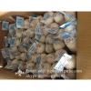 New Crop Chinese 4.5cm Pure White Fresh Garlic Loose Carton Packing #2 small image