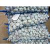 Chinese Fresh Normal White Garlic Packed In Mesh Bag #1 small image