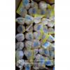 Chinese Fresh Jinxiang Pure White Garlic Small Packing In 10kg Box
