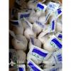 New Crop Chinese 4.5cm Pure White Fresh Garlic 3p small packing in box
