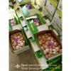 Chinese Fresh Normal White Garlic Small Packing #3 small image
