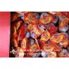 Chinese Jinxiang Pure White Fresh Garlic Small Packing In 10kg Box