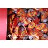 New Crop Fresh Chinese Pure White Garlic (5.0cm, 5.5cm, 6.0cm)Box Packing #5 small image