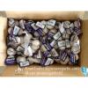 Chinese Jinxiang Pure White Fresh Garlic Small Packing In 10kg Box