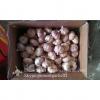 Chinese Fresh Red (Allium Sativum) Garlic Loose Packing #4 small image