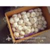Best seller Normal White Garlic 4.5cm-5.0cm Packed in Mesh Bag or Carton Box #1 small image