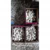 5-5.5cm Chinese Fresh Normal White Garlic In 5kg Carton Box Packing #3 small image