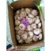 Chinese Natural 5.5cm Red Garlic Loose Packing In 10kg Carton Box #5 small image