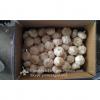 5-5.5cm Chinese Fresh Normal White Garlic In 10kg Carton Box Packing #2 small image