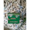 New Crop Chinese 4.5cm Snow White Fresh Garlic In 10 kg Box Packing #2 small image