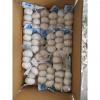 5.0cm 100% Pure White Snow White Chinese Fresh Garlic Exported to Guatemala #4 small image