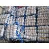 Best seller Normal White Garlic 5.0cm-5.5cm Packed in Mesh Bag or Carton Box #4 small image