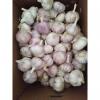 CHINA GARLIC ARE EXPORTED TO BRAASIL MARKET (GOODFARMER) #5 small image
