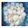 pure white garlic in 2017 china