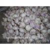 Shandong fresh red garlic in 10kg mesh bag #2 small image