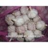 Shandong fresh red garlic in 10kg mesh bag #5 small image