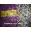 China Shandong jining garlic exporter #2 small image