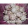Shandong jining fresh garlic from China #4 small image