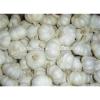 Offer Fresh Organic Garlic without Pesticide #5 small image