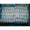 Wholesale Fresh Normal/Pure Natural Garlic with Factory Price #2 small image