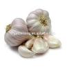 Wholesale Fresh Normal/Pure Natural Garlic with Factory Price #5 small image