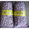 2017 New Crop Garlic Harvest in Hot Sale #3 small image