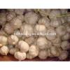 2017 Crop Normal White Garlic pack in 10kg/mesh bag #5 small image