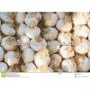 Provid Jinxiang Garlic #3 small image
