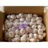 Provid Jinxiang Garlic #5 small image