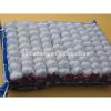 Supply China Garlic pack in 500g/sack,10kg /mesh bag of Fiji Market #1 small image