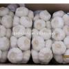 Supply China Garlic pack in 500g/sack,10kg /mesh bag of Fiji Market #2 small image