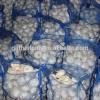 China Garlic Golden Supplier #1 small image