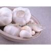 China Garlic Golden Supplier #2 small image