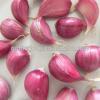 Red/Pink/Purple/Violet Garlic in Hot Sale #1 small image