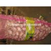 Haccp of China Garlic with High Quality #4 small image
