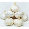 China Pure White /Snow White/Super White Garlic 2017&#39;